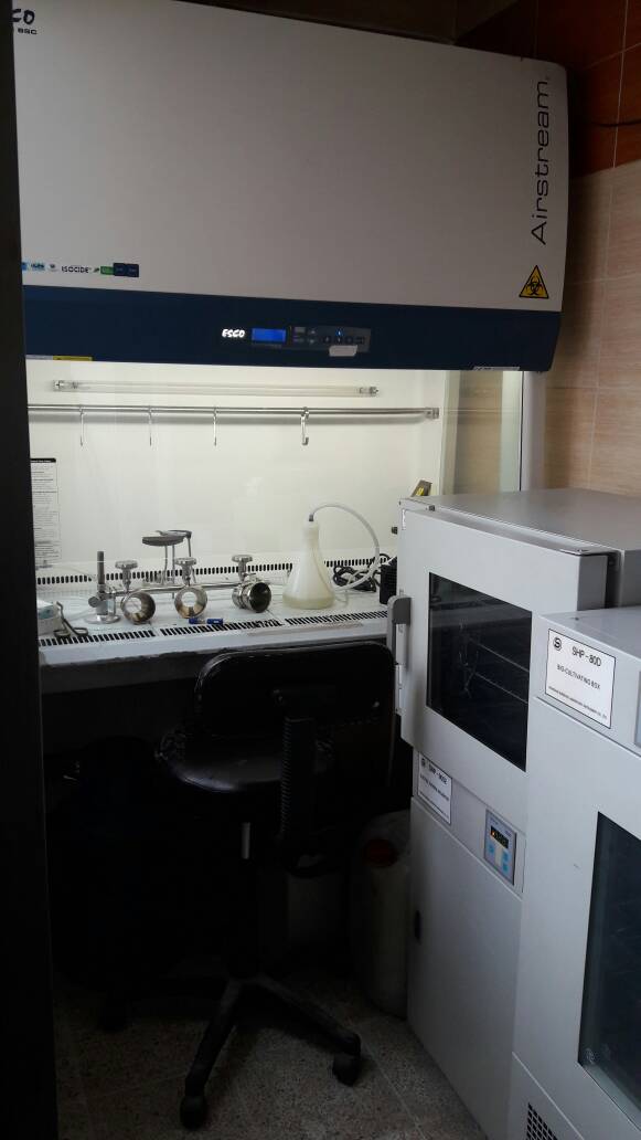  The Tours on Projects