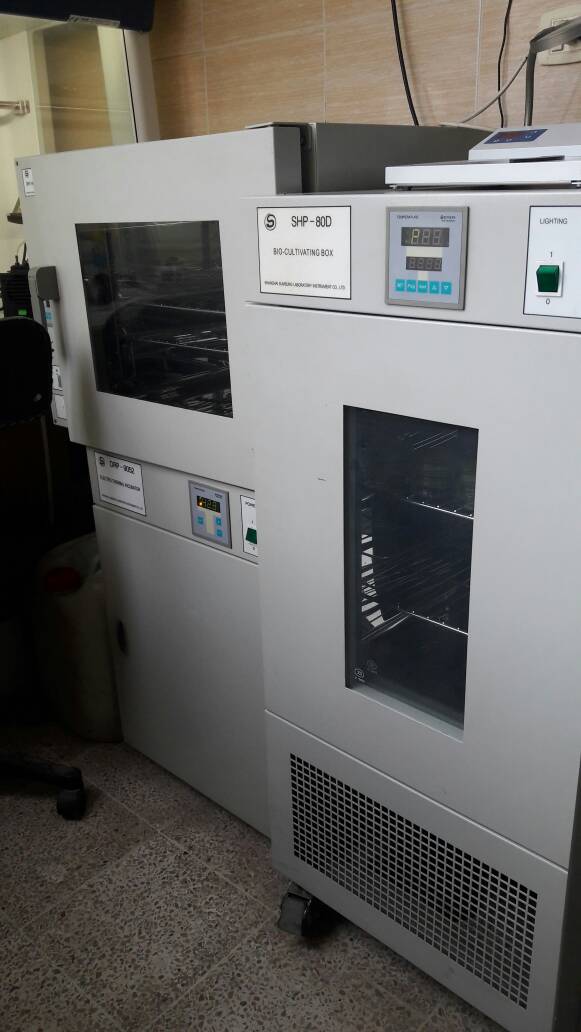  The Tours on Projects