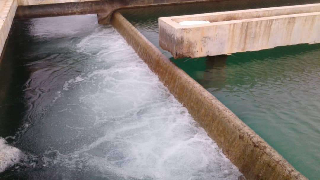  The Tours on Projects